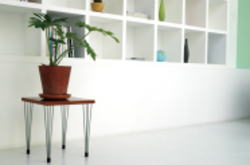 ����̐����C���[�W