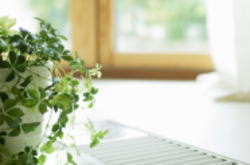 ����̐����C���[�W